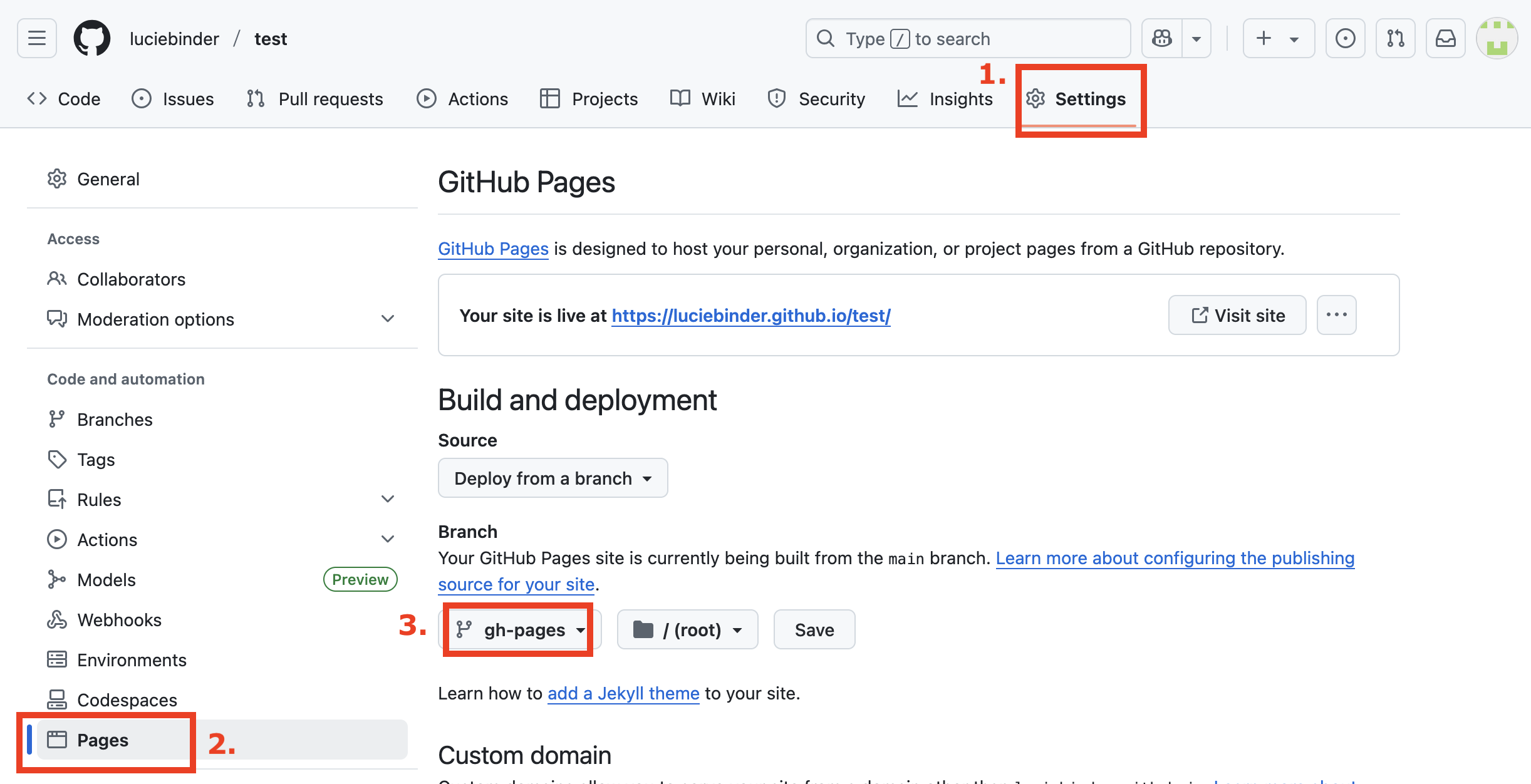 Image of the settings under Branch.