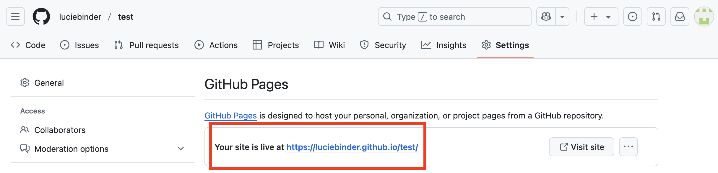 Image of the final link that is presented under "GitHub Pages".